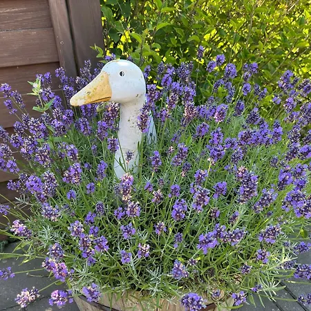 Haus Geni Prázdninový dům