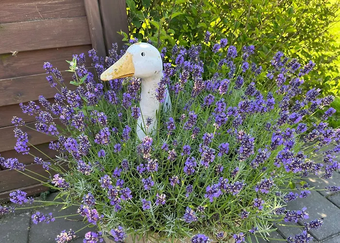 Haus Geni Hébergement de vacances